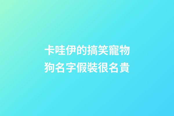 卡哇伊的搞笑寵物狗名字假裝很名貴