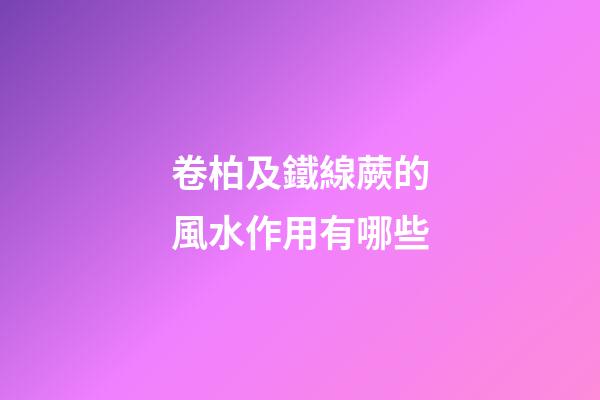 卷柏及鐵線蕨的風水作用有哪些?