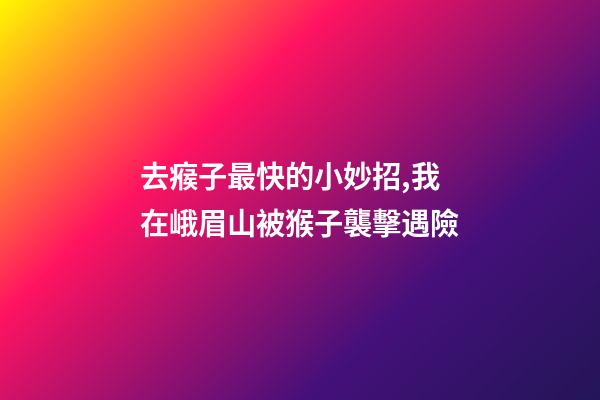 去瘊子最快的小妙招,我在峨眉山被猴子襲擊遇險-第1張-觀點-玄機派