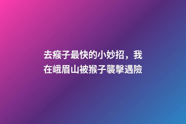 去瘊子最快的小妙招，我在峨眉山被猴子襲擊遇險-第1張-觀點-玄機派
