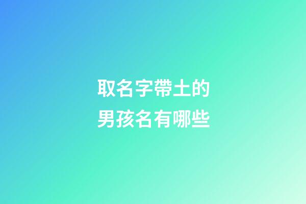 取名字帶土的男孩名有哪些(取名字帶土的男孩名字大全)-第1張-男孩起名-玄機派