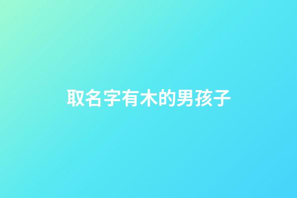 取名字有木的男孩子(名字帶木字的男孩名字)-第1張-男孩起名-玄機派