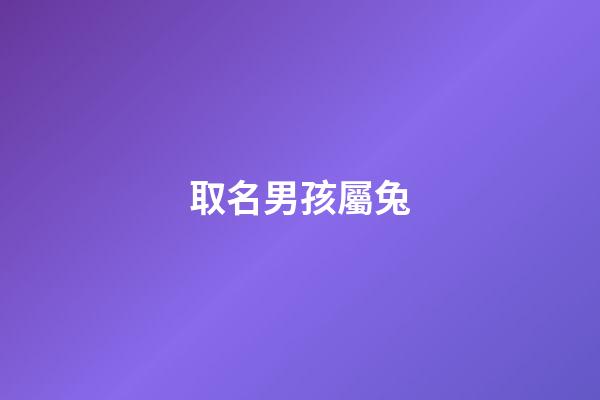 取名男孩屬兔(男孩屬兔起什么名字好)-第1張-男孩起名-玄機(jī)派