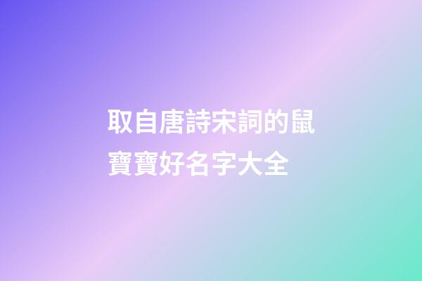 取自唐詩宋詞的鼠寶寶好名字大全