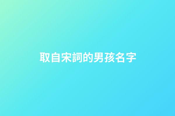 取自宋詞的男孩名字(從宋詞中取男孩名字)-第1張-男孩起名-玄機派