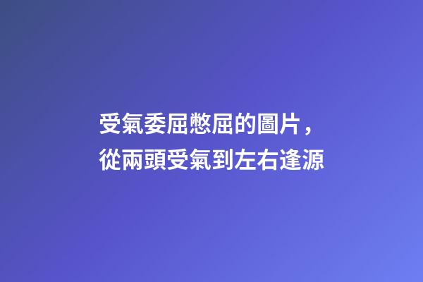 受氣委屈憋屈的圖片，從兩頭受氣到左右逢源-第1張-觀點-玄機派