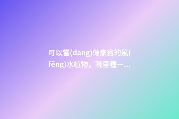 可以當(dāng)傳家寶的風(fēng)水植物，院里種一棵，開花就是千萬朵，紫氣東來