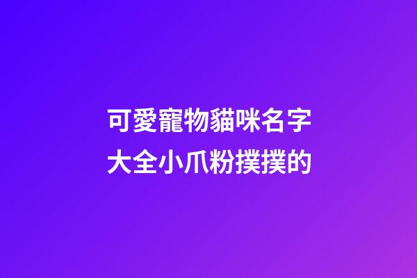 可愛寵物貓咪名字大全小爪粉撲撲的