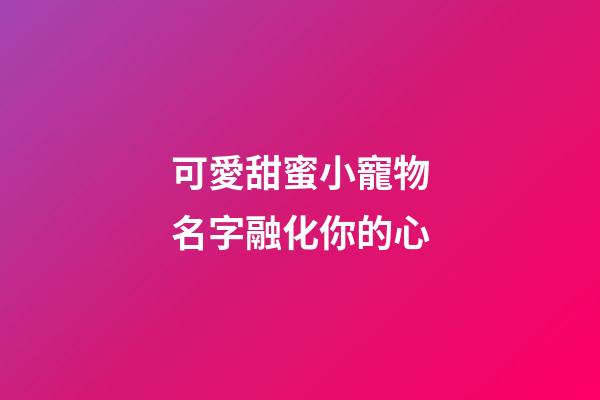 可愛甜蜜小寵物名字融化你的心