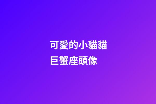 可愛的小貓貓巨蟹座頭像-第1張-星座運(yùn)勢(shì)-玄機(jī)派