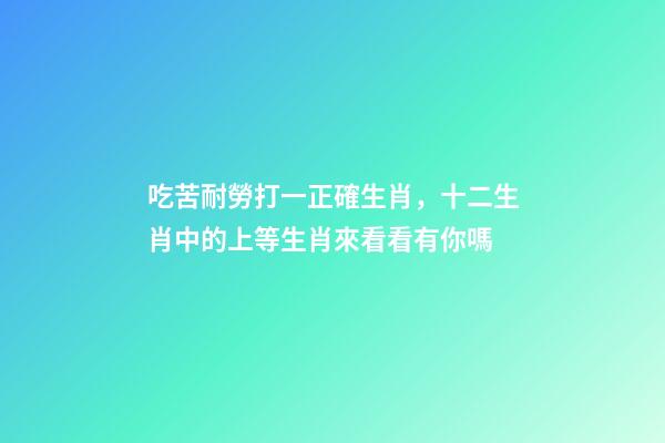 吃苦耐勞打一正確生肖，十二生肖中的上等生肖來看看有你嗎-第1張-觀點-玄機派