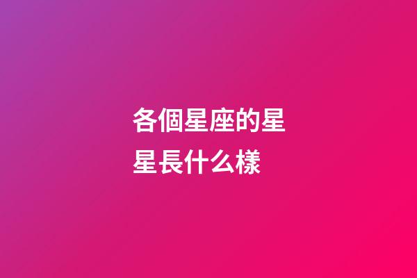 各個星座的星星長什么樣-第1張-星座運勢-玄機派
