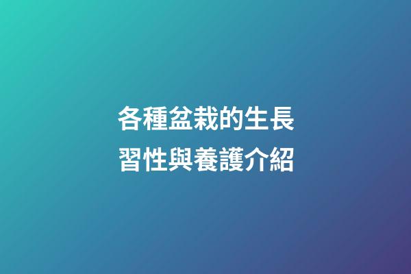 各種盆栽的生長習性與養護介紹