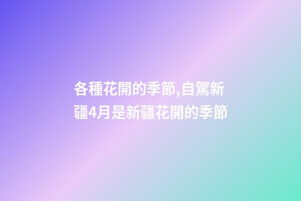 各種花開的季節,自駕新疆4月是新疆花開的季節-第1張-觀點-玄機派