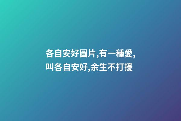 各自安好圖片,有一種愛,叫各自安好,余生不打擾-第1張-觀點(diǎn)-玄機(jī)派