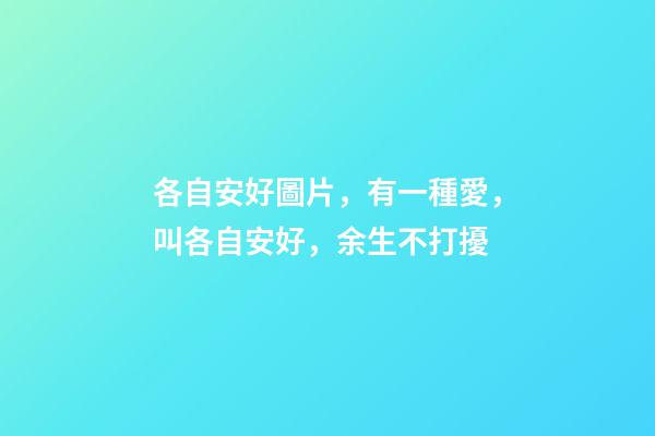 各自安好圖片，有一種愛，叫各自安好，余生不打擾-第1張-觀點(diǎn)-玄機(jī)派