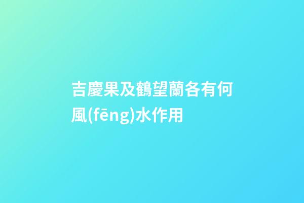 吉慶果及鶴望蘭各有何風(fēng)水作用?