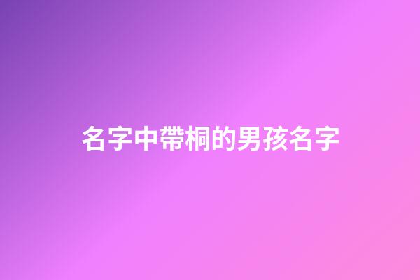 名字中帶桐的男孩名字(取名帶桐男孩名字)-第1張-男孩起名-玄機(jī)派