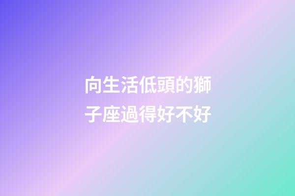 向生活低頭的獅子座過得好不好-第1張-星座運勢-玄機派