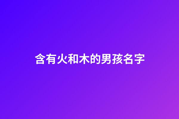 含有火和木的男孩名字(名字帶火和木的男孩名字)-第1張-男孩起名-玄機(jī)派