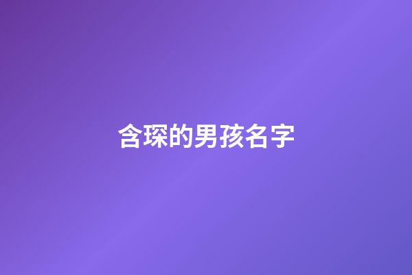 含琛的男孩名字(含琛的男孩名字大全)-第1張-男孩起名-玄機派