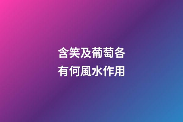 含笑及葡萄各有何風水作用?