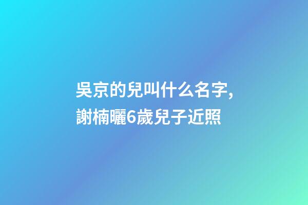 吳京的兒叫什么名字,謝楠曬6歲兒子近照-第1張-觀點-玄機(jī)派