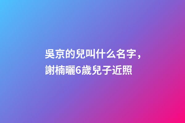吳京的兒叫什么名字，謝楠曬6歲兒子近照-第1張-觀點-玄機(jī)派