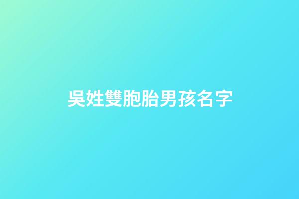 吳姓雙胞胎男孩名字(姓吳的雙胞胎)-第1張-男孩起名-玄機派