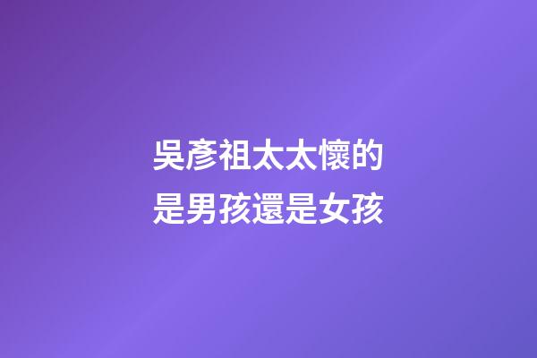 吳彥祖太太懷的是男孩還是女孩