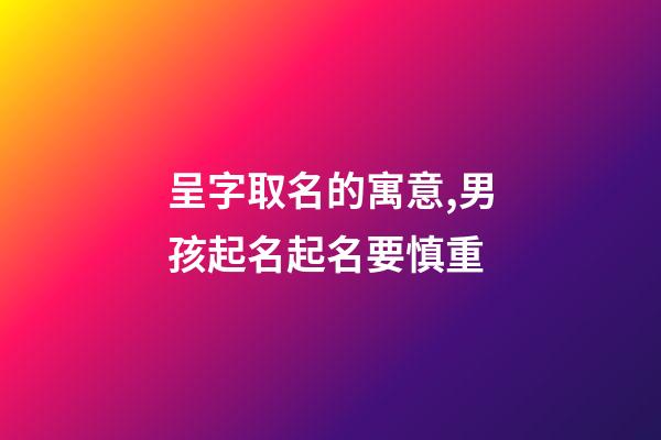 呈字取名的寓意,男孩起名起名要慎重-第1張-觀點-玄機派