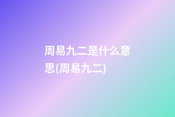 周易九二是什么意思(周易九二)
