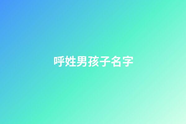 呼姓男孩子名字(呼姓男孩單字名)-第1張-男孩起名-玄機派