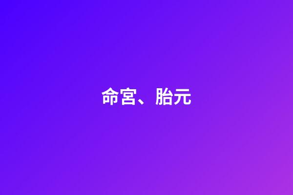 命宮、胎元