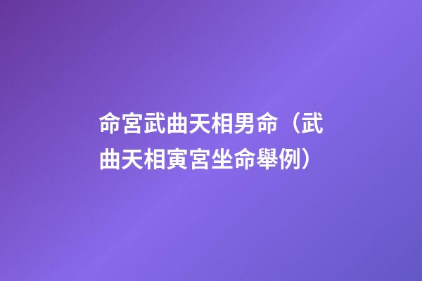 命宮武曲天相男命（武曲天相寅宮坐命舉例）-第1張-觀點-玄機派