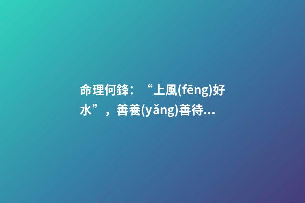 命理何鋒：“上風(fēng)好水”，善養(yǎng)善待獲福
