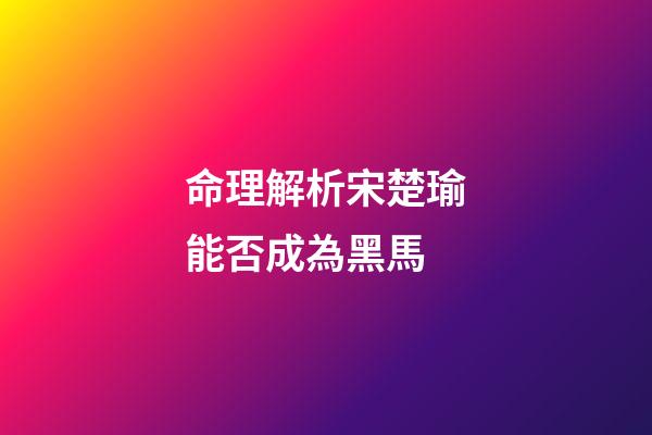 命理解析宋楚瑜能否成為黑馬