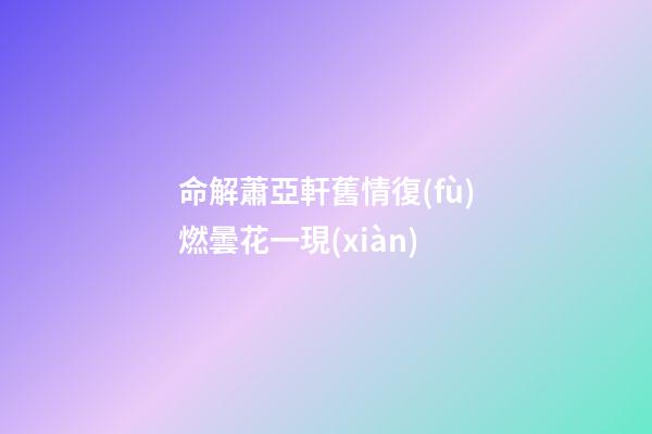 命解蕭亞軒舊情復(fù)燃曇花一現(xiàn)