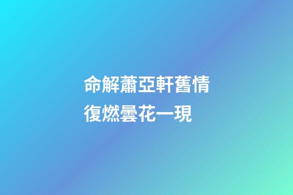 命解蕭亞軒舊情復燃曇花一現