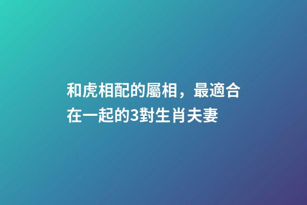 和虎相配的屬相，最適合在一起的3對生肖夫妻-第1張-觀點-玄機派