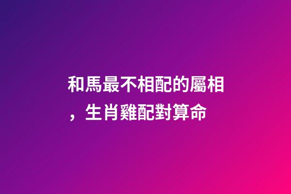 和馬最不相配的屬相，生肖雞配對算命(建議收藏)-第1張-觀點-玄機派