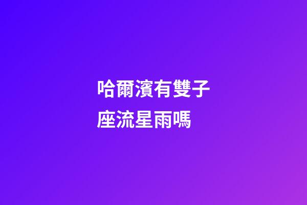 哈爾濱有雙子座流星雨嗎-第1張-星座運勢-玄機派