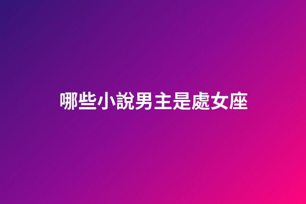 哪些小說男主是處女座-第1張-星座運勢-玄機派