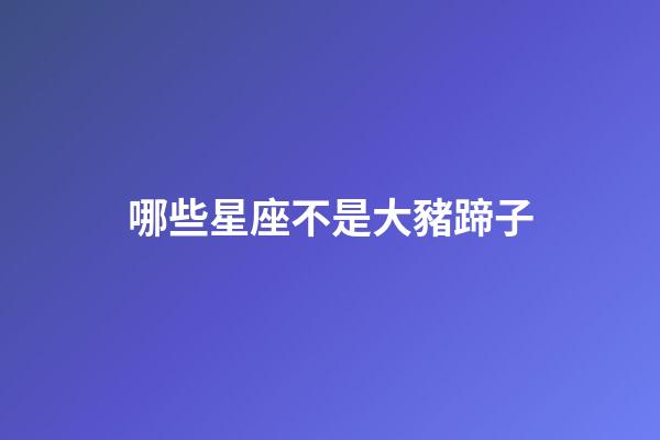 哪些星座不是大豬蹄子