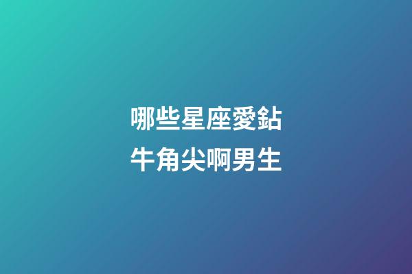哪些星座愛鉆牛角尖啊男生-第1張-星座運勢-玄機派