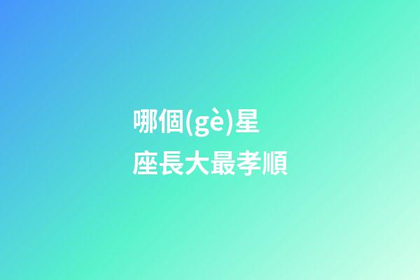 哪個(gè)星座長大最孝順-第1張-星座運(yùn)勢-玄機(jī)派