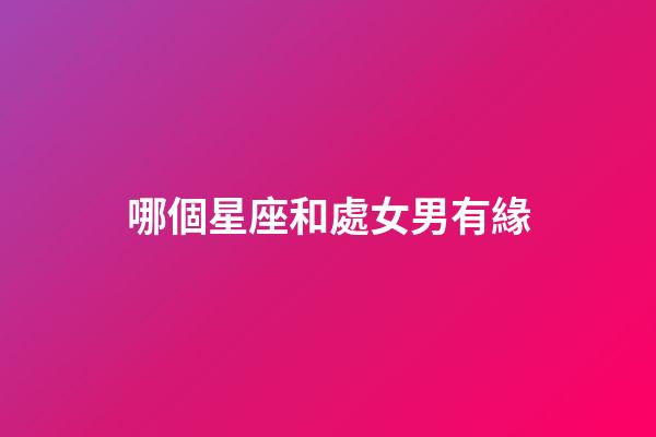 哪個星座和處女男有緣-第1張-星座運勢-玄機派