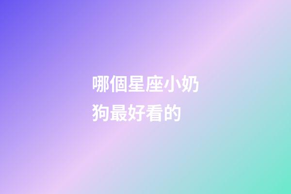 哪個星座小奶狗最好看的-第1張-星座運勢-玄機(jī)派
