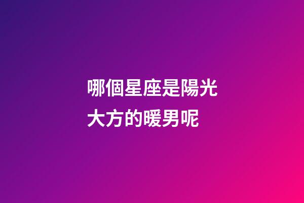 哪個星座是陽光大方的暖男呢