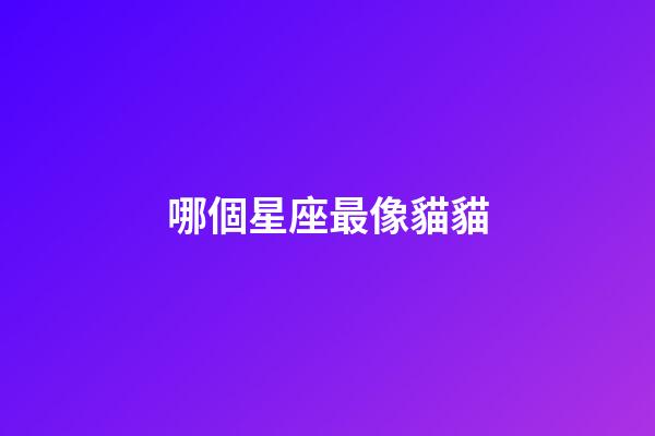 哪個星座最像貓貓-第1張-星座運勢-玄機派